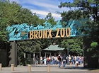 Bronx Zoo - Wikipedia