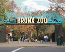 Bronx Zoo: Una aventura divertida y salvaje