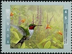 Buy Canada #1594i - Ruby-Throated Hummingbird (1996) 45¢ - MF | Arpin ...