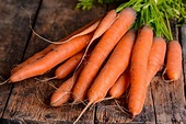 Carrots: Planting, Growing, and Harvesting Carrots | The Old Farmer's ...