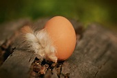 12 любовных приворотов на яйцо: простые, но сильные обряды