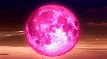 La Lune Rose 2021 : Fydqtqbovbuptm : La pleine lune rose, autrement ...