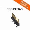 Kit 100 Peças - Barra de Pinos 1x6 Macho Vertical Base 90° Alternada ...