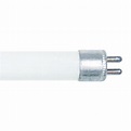 T4 12 Watt Circular Fluorescent Light Bulb | Shelly Lighting