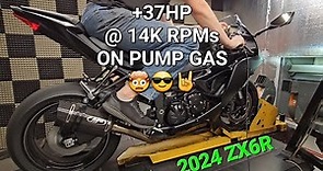 2024 ZX6R GAINS 37HP at the top end!