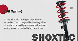 Shoxtec Front Left Complete Struts Assembly Replacement for 2013-2018 Ford Taurus Coil Spring Shock Absorber Kits Repl. Part no. 172653