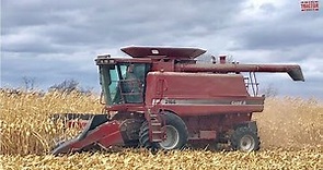 CASE IH 2166 Axial-Flow Combine Harvesting Corn
