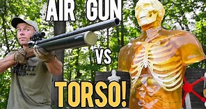 World s Most POWERFUL Air Rifle vs TORSO!! (72cal ZEUS)
