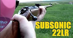 Subsonic 22LR - Ruger 10/22 vs CZ 452