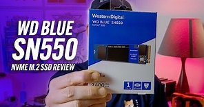 WD Blue SN550 NVMe m.2 SSD Review: BEST budget SSD!