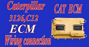 Caterpillar 3126 and C12 ECM wiring diagram | caterpillar ecm | electrical professional