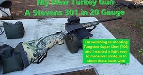 Stevens 301 in 20 gauge - My New Turkey Gun - Can it shoot straight?