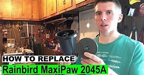 Rain Bird Maxi-Paw 2045A Sprinkler