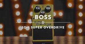 Boss SD-1 Super Overdrive | Reverb Demo Video
