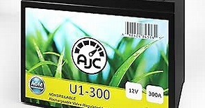 AJC Battery Compatible with Cub Cadet LTX 1046 KW Riding U1 Lawn Mower and Tractor Battery