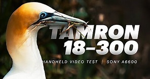 Tamron 18-300mm + Sony a6600 | Handheld video test
