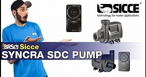 The Sicce Syncra SDC return pump has everything! 5yr warranty, temp monitoring, WiFi & Apex control?