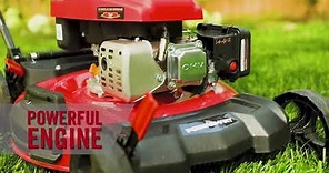 Meet the PowerSmart DB2194C/DB2194P Lawn Mower