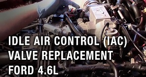Idle Air Control (IAC) Valve Replacement - Ford 4.6L