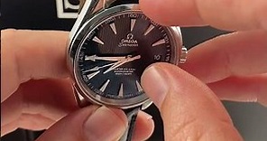 Omega Seamaster Aqua Terra Blue Dial Watch 231.13.39.21.03.001 | SwissWatchExpo