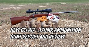 New CCI A17 - .17 HMR Ammunition Hunt Report and Review