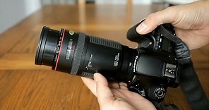 Canon EF 100-300mm f/5.6 L - the first EF L lens - review (Full-frame and APS-C)