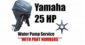 How to Change a 25 Hp Yamaha Outboard Water Pump Impeller