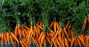 How to Grow Carrots - A Complete Guide