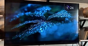 TCL 4-Series 4K UHD HDR 55-inch Roku Smart TV blogger review