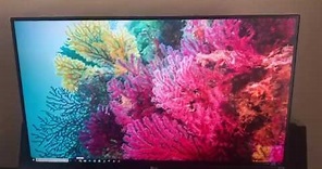 LG 27UL600 27 IPS LED 4K UHD FreeSync with HDR Monitor Setup and Pros/Cons Review