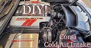 Corsa Carbon Fiber Cold Air Intake | Power that Shows