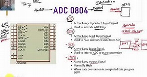 ADC0804 interfacing with 8051 Microcontroller