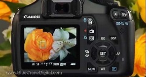 Introduction to the Canon Rebel T3 / 1100D: Basic Controls