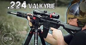Meme or Mighty? Palmetto State Armory .224 Valkyrie [Review]