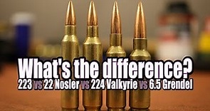 Picking the right AR cartridge for your needs
