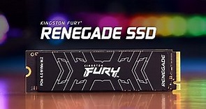 PCIe 4.0 NVMe M.2 High-Performance Gaming SSD – Kingston FURY Renegade SSD