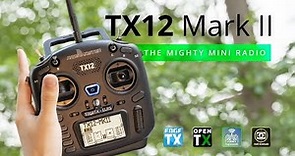 RadioMaster TX12 Mark II Radio ELRS | The Mighty, Mini Radio