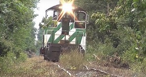 PREX 107 NW2 switcher and Husqvarna chainsaw Out of Service track Railroading ND&W Railroad