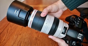 Canon EF 100-400mm f/4.5-5.6 IS USM L ii lens review with samples (Full-frame and APS-C)