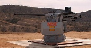 The Mk-44 Stretch Bushmaster Chain Gun | Bushmaster Users Conference 2021