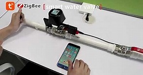 Tuya Zigbee Smart Water Shutoff Valve