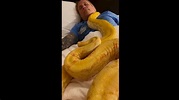 Snakes crawl over man as he takes a nap. Watch scary yet intriguing ...