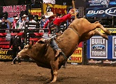 World’s Best Bull Riders Ready to Compete