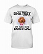 Poodle 1-CS4191-DNA Test-V2