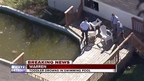 Toddler drowns in metro Detroit pool, police investigating - YouTube
