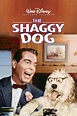 The Shaggy Dog (1959) - Posters — The Movie Database (TMDB)
