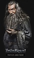 Ian McKellen as Gandalf the Grey in The Hobbit Movies | Lord of the ...