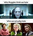 Muggles memes. Best Collection of funny Muggles pictures on iFunny Brazil