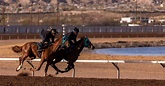 Sunland Derby 2023: Post time, live stream, TV channel, horses racing ...