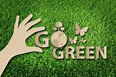 Take the Little Steps to Go Green and Reduce Your Carbon Footprint